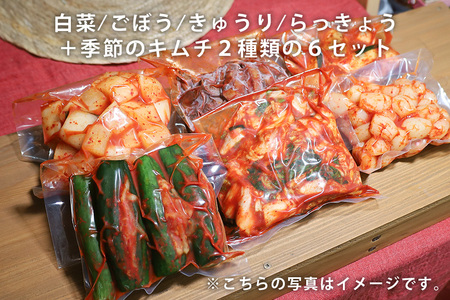 キムチ 6種 (きゅうり らっきょう ごぼう 白菜 季節のキムチ2種 )セット 2.1kg ～ 2.7kg (1袋 約350～450g×6種類)  AF-003
