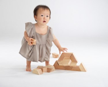 つみき 天才をつくる 積み木 てんつみ 12個 化粧木箱入 [海野建設 宮崎県 日向市 80-04]