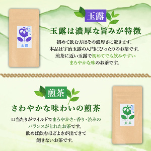 水出し 宇治茶 HARIO ハリオ フィルター イン ボトル セット 【uj-AG001】【宇治日の出園】