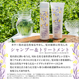 アミノ酸系しっとりシャンプー＆トリートメントセット(各1本) アミノ酸 シャンプー トリートメント カラーセイバー カラー長持ち 長持ち 髪の補修 【uj-AK003】【ロジック】