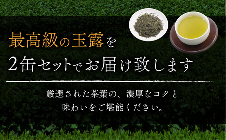 京都宇治極上玉露セット(計240g/120g×2缶)特産品 宇治茶 銘茶 お茶 緑茶 玉露 京都 【uj-AT003】【宇治茶商倶楽部】