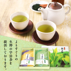 生粋の宇治茶詰合せ(玉露100g・特上煎茶100g) 銘茶 お茶 宇治茶 緑茶 玉露 煎茶 【uj-AW001】【合資会社松阪屋嘉八本店】