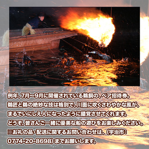 宇治川の鵜飼ペア招待券(乗合船) 計2枚 2名様分 観光 鵜飼 宇治川 ペア 体験 京都 チケット 【uj-BT006】【宇治市】