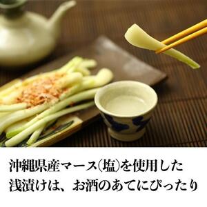 【山将仕立】島らっきょう 塩漬（浅漬） 3袋セット｜沖縄　島らっきょう　山将　人気