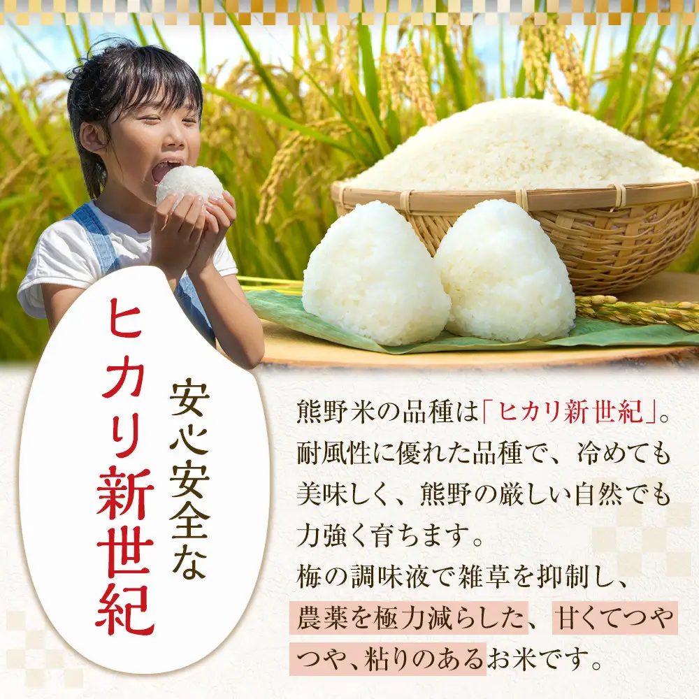 令和7年産 熊野米 5kg