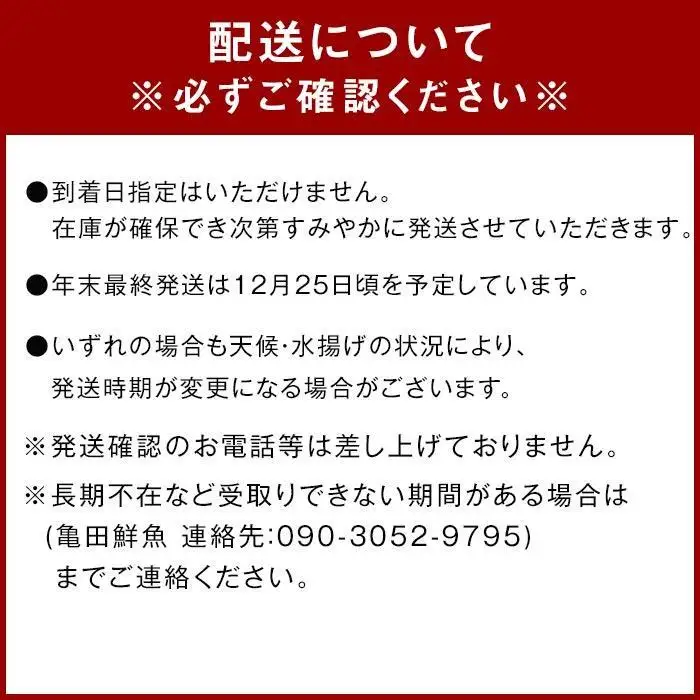 冷凍 伊勢海老 お鍋用 約 700g ～ 800g 産地直送