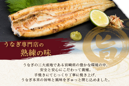【2週間以内発送】うなぎ 白焼き 4尾 計600g以上 鰻 化粧箱入り D135