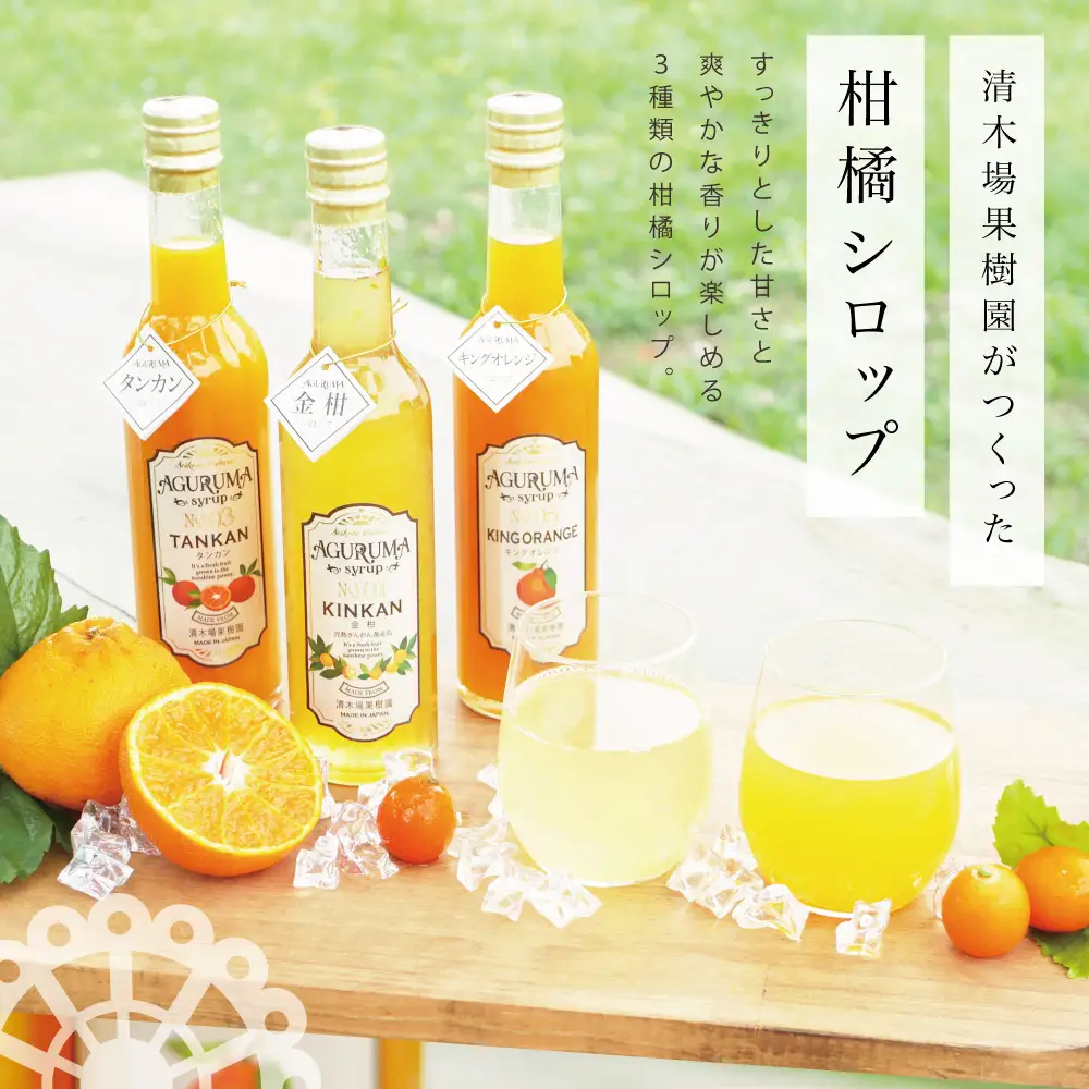 柑橘シロップ 3本セット＜金柑・タンカン・キングオレンジ＞［3種類］きんかん キンカン たんかん 不知火 ドリンク ジュース 炭酸割り ハイボール カクテル かき氷 ヨーグルト アイス パンケーキ ギフト 贈答 清木場果樹園 鹿児島県 南さつま市