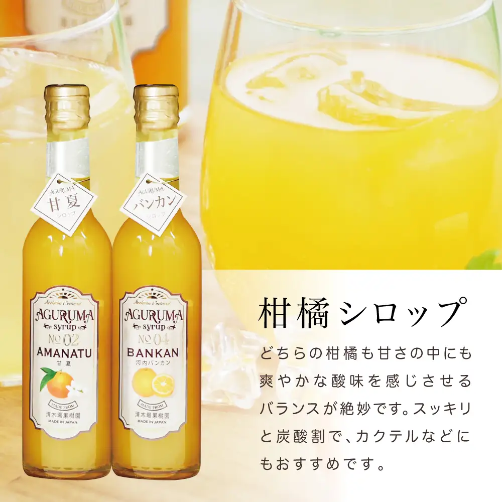 マーマレード＆シロップ4本セット（甘夏・河内バンカン）フルーツシロップ 柑橘 果物 フルーツ ジュース フルーツソース 炭酸割り ハイボール カクテル かき氷 ヨーグルト アイス パンケーキ ギフト 贈答 清木場果樹園 鹿児島県 南さつま市