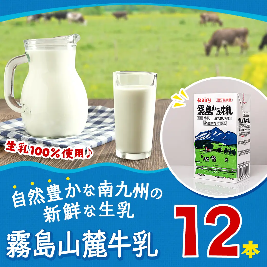 霧島山麓牛乳1000ml×12本セット〔MJ-2310〕_(都城市) 常温保存可能パック牛乳 無菌充填 生乳100％使用 成分無調整牛乳 1000ml 12本 南日本酪農協同 Dairy デーリィ ロングライフ飲料 防腐剤 保存料不使用 200ml × 48本 1000ml × 12本 牛乳 ストック