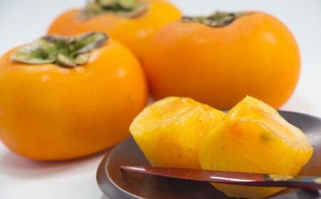 柿 ［厳選・産直］和歌山産の富有柿約2kg（化粧箱入り）（2L～4Lサイズ）【2026年11月上旬～2026年12月上旬頃】【TM59】【TM92055-tec406B】