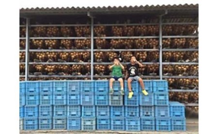 淡路島の農家の嫁から「完熟玉ねぎ 中生晩生 ５kg」◆配送5月中旬～