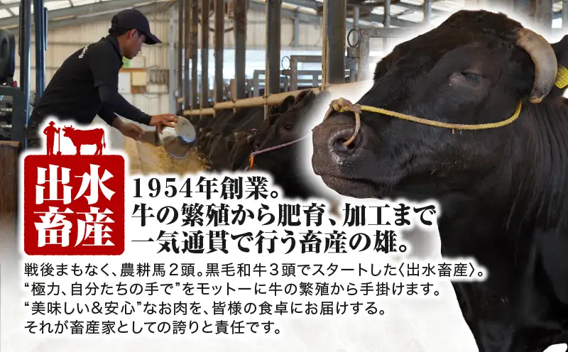 511-2 黒毛和牛 特上 カルビ KN019-009 肉 牛 冷凍