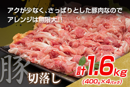数量限定 豚肉 切り落とし 鶏肉 モモ ムネ セット 合計3.1kg_BDV2-26