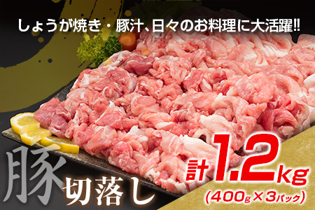 数量限定 豚肉 切り落とし ミンチ 鶏肉 モモ肉 セット 合計3.7kg 国産 ポーク チキン ミート 食品 おかず お弁当 おつまみ 万能食材 大容量 ハンバーグ から揚げ 焼肉 炒め物 小分け 人気 おすすめ おすそ分け お取り寄せ グルメ 宮崎県 日南市 送料無料_CA75-25