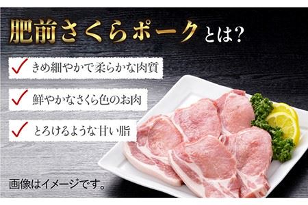【佐賀のブランド豚】肥前さくらポーク とんかつ用ロース500g（100g×5枚）豚肉 ブタ トンカツ[FBE018]