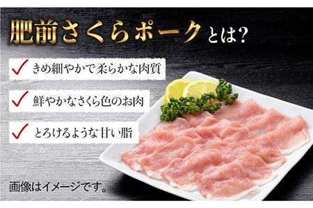 【佐賀のブランド豚】肥前さくらポーク ローススライス500g[FBE020]