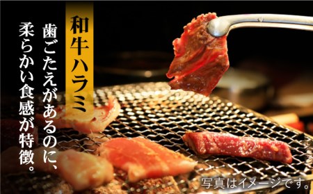 【味付】【大容量】ホルモン専門店の豪華！焼き肉5種セット計2kg（和牛ハラミ800g ／ 豚ハラミ・丸腸・小腸・シマ腸 各300g）【三田川ホルモン専門店】 [FAC016]