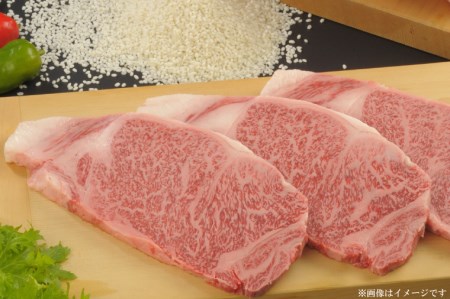 サーロインステーキ 500g 黒毛和牛 しわもちもち牛 ロース ステーキ AM002-1