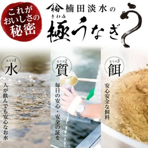 楠田の極うなぎ 素焼き焼肝(50g×5袋・たれ付き) うなぎ 鰻 ウナギ 国産 鹿児島県産 九州産 焼肝 冷凍 a1-050