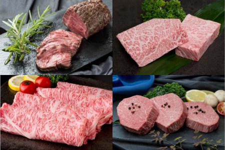 【全12回】毎月お届け 佐賀牛 定期便 総計15.5kg 999-J475