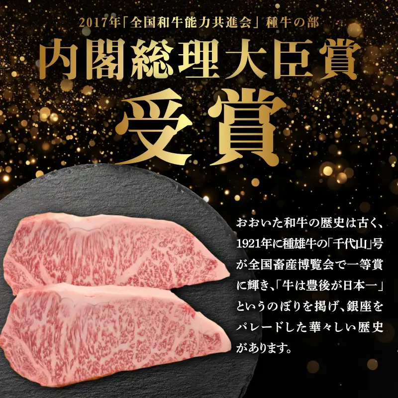 百年の恵み　おおいた和牛A5　ステーキ用厚切り【厳選部位】約600ｇ A01104