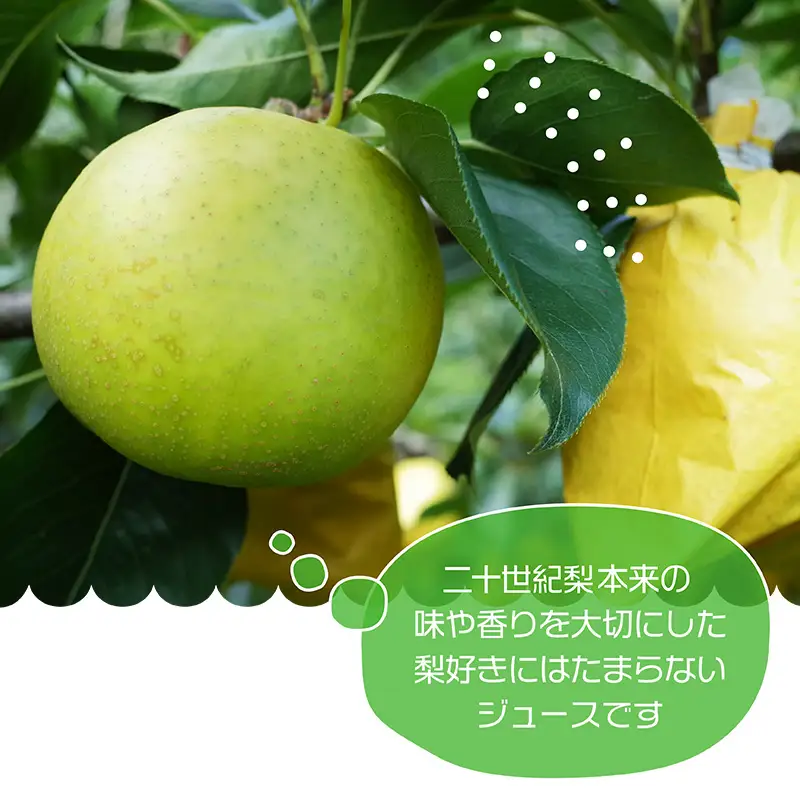 【やなファーム】二十世紀梨ジュース（710ml）2本セット Q2