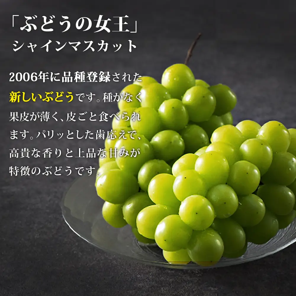 シャインマスカット2房(約1kg)＜2026年8月中旬から発送開始分先行予約＞【A7-070】