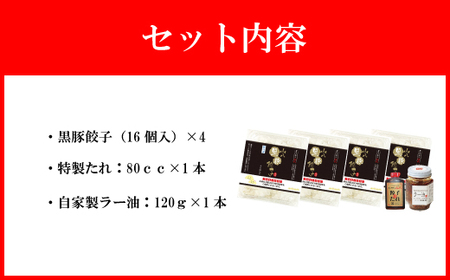 これぞ餃子!!九州産黒豚餃子詰合せ(福津の極み認定商品)＆自家製ラー油[H4383]