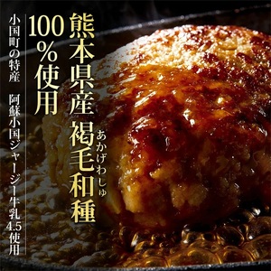 【阿蘇牧場】赤牛ハンバーグ 150g×10個 計1.5kg 1500g 熊本県産 褐毛和種 和牛100％ 阿蘇小国ジャージー4.5牛乳使用 大判 和牛ハンバーグ 小分け 個包装 焼くだけ簡単 冷凍 熊本 阿蘇 小国町