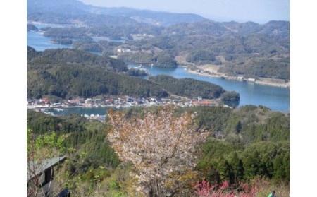 波多津の町おこしに参加ください！【思いやり型返礼品（協賛型）】 103-O001
