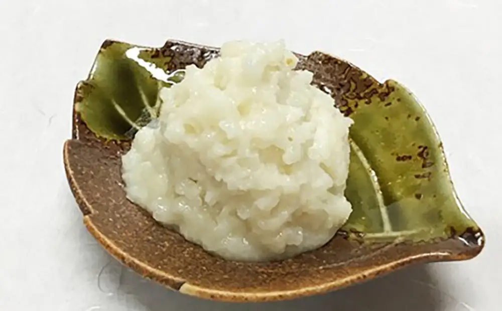 発酵飯10個【100g×10p】【AD24W】