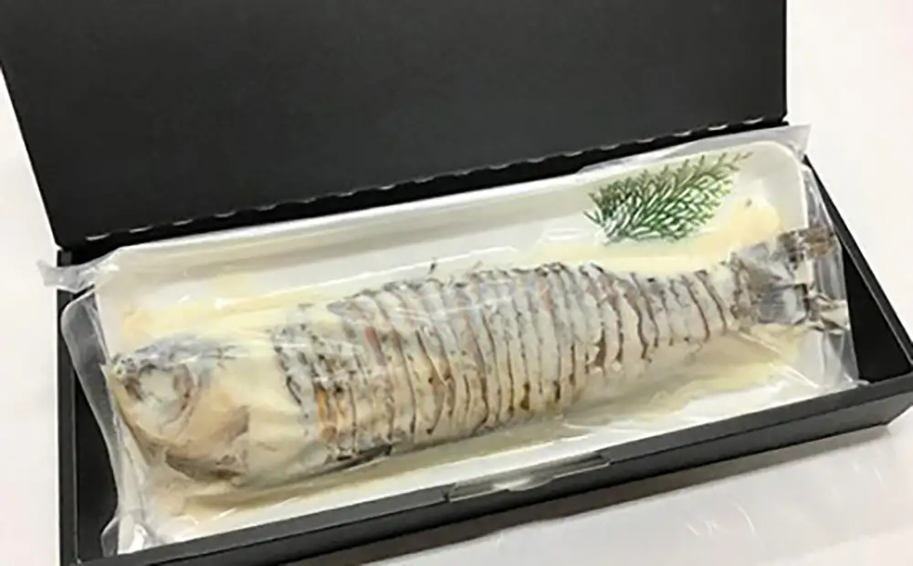 近江本にごろ　ふなずし　おす【500g】【AD25W】 鮒ずし