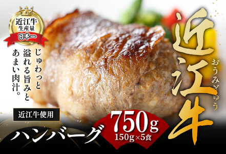 ハンバーグ 近江牛 プレミアム 750g (約 150g × 5個 ) ブランド 牛肉 黒毛和牛 【Y095W】
