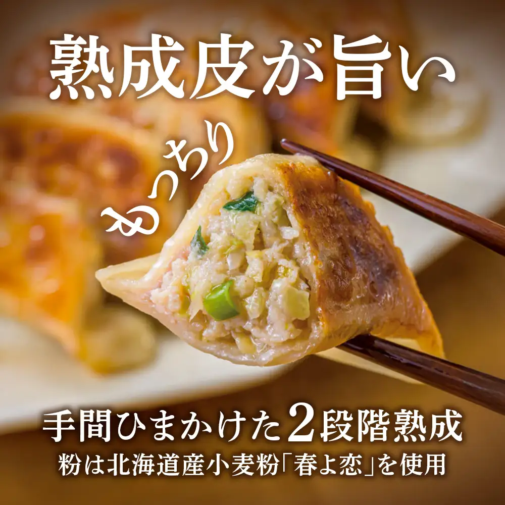 北海道餃子★天のびろく 3種セット＜北海道餃子天のびろく＞