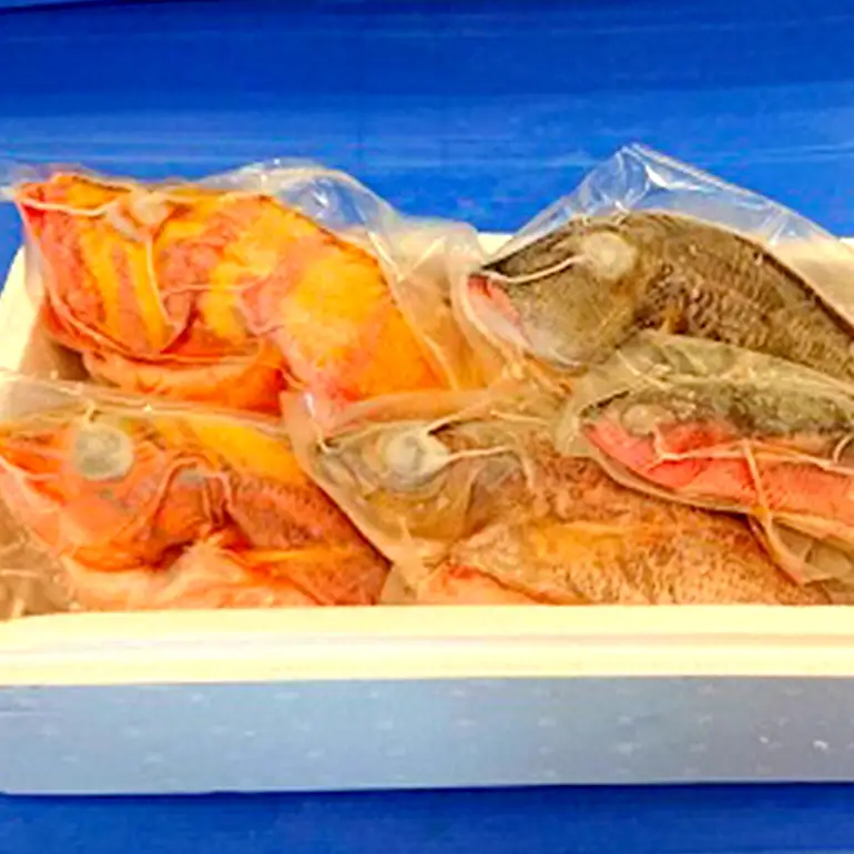 【 産地直送 】【漁師まちの鮮魚店厳選】おまかせ 鮮魚 セット(約 2kg ) お魚 魚 詰め合わせ 下処理済み (内臓・ウロコ除去済み) 急速冷凍 真空パック 沖縄 鮮魚セット 詰合せ 鮮魚店 厳選 お任せ 鮮度 産直 海鮮 加熱用 冷凍保存 沖縄県 糸満市