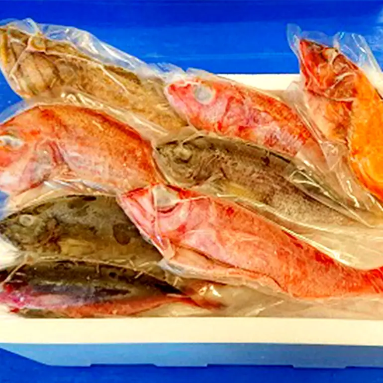 【 産地直送 】【漁師まちの鮮魚店厳選】おまかせ 鮮魚 セット(約 4kg ) お魚 魚 詰め合わせ 下処理済み (内臓・ウロコ除去済み) 急速冷凍 真空パック 沖縄 鮮魚セット 詰合せ 鮮魚店 厳選 お任せ 鮮度 産直 海鮮 加熱用 冷凍保存 沖縄県 糸満市