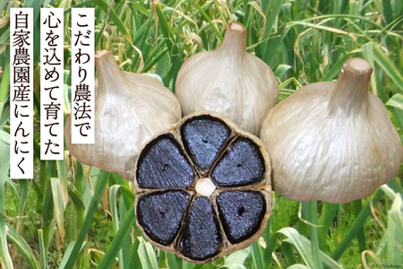 黒にんにく(200g×3袋)《国産・自家農園栽培・農薬不使用》 [甲斐自然派農園 宮崎県 日向市 452060130]