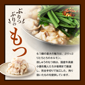 田しゅうもつ鍋セット醤油味2～3人前_もつ鍋 セット  醤油味 田しゅう 味噌 醤油 ちゃんぽん麺 めん 出汁 牛もつ 博多 郷土料理 国産牛  牛もつ鍋 博多もつ鍋 福岡県 久留米市 お取り寄せ お取り寄せグルメ 送料無料 〔Cn111〕