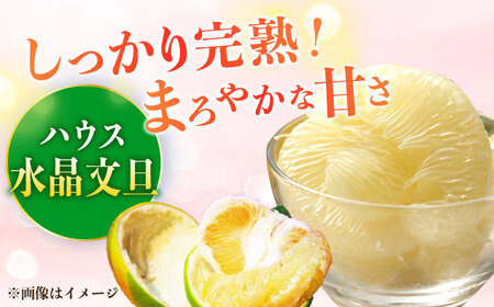 【先行予約】 南国土佐の女王柑橘 水晶文旦 約3kg 6玉入り〈2026年9月中旬～2026年12月中旬頃発送〉/ ぶんたん 文旦 3kg 3キロ フルーツ 高知 名物 果物 柑橘 ムッキー 【フルーツショップオザキ】[ATAH007]