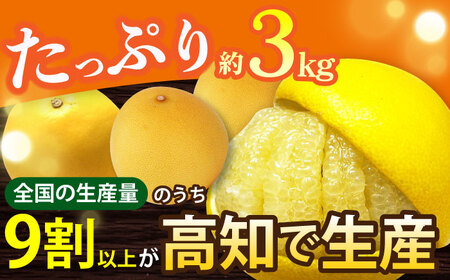 【先行予約】 南国高知温室 土佐文旦 約3kg 7玉〈2026年11月中旬～2027年2月中旬頃発送〉/ 文旦 ぶんたん 3kg 3キロ 温室 果物 フルーツ デザート 柑橘 南国 土佐 高知 名物 名産 ムッキー 【フルーツショップオザキ】[ATAH011]