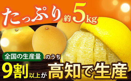 【先行予約】 南国高知温室土佐文旦 約5kg 8玉〈2026年11月中旬～2027年2月中旬頃発送〉/ 文旦 ぶんたん 5kg 5キロ 温室 果物 フルーツ デザート 柑橘 南国 土佐 高知 名物 名産 ムッキー 【フルーツショップオザキ】[ATAH015]