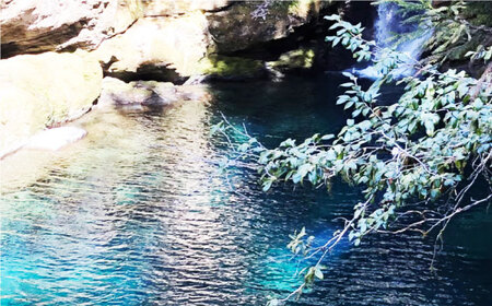 奇跡の清流「仁淀川」の伏流水で育てた高知県産 うなぎ蒲焼 2尾 / うなぎ 鰻 ウナギ 2尾 セット 冷凍 鰻の蒲焼 うなぎ蒲焼き うな重 うな丼 ひつまぶし タレ たれ 国産 高知 高知県産 お取り寄せ 土用の丑の日 人気 おすすめ お土産 贈答 プレゼント 贈り物 [ATBC001]