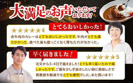 高知土佐あかうしビーフカレー 10食セット / レトルト れとると カレー かれー 和牛 土佐あかうし 牛肉 牛カレー ビーフ ビーフカレー 保存食 常備  長期保存 おすすめ 高知市 レトルトカレー  保存用カレー [ATAF053]