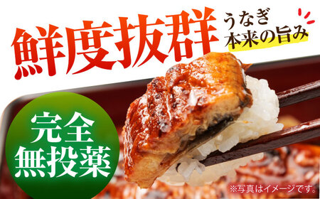 高知県産 うなぎ蒲焼き 約90g×2尾 タレ付き / うなぎ 鰻 ウナギ 国産うなぎ 【株式会社 四国健商】 [ATAF064]