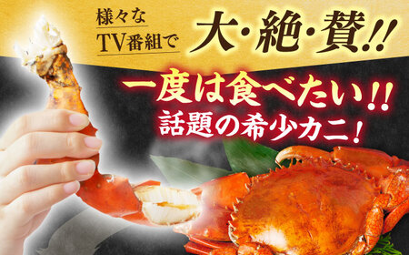 浦戸湾産 エガ二 1キロ前後 / カニ エガニ ワタリガニ カニ エガニ ワタリガニ かに えがに わたりがに 蟹  [ATAL001]