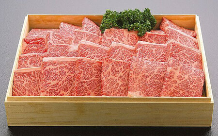 土佐黒毛和牛　ロース　焼き肉　約500g  / とろけるやわらかさ 和牛 高知県産 国産和牛 牛肉 黒毛和種  【（有）蔵多堂】[ATAE011]