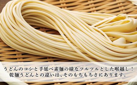 半生うどん 250g×6個 4人家族向け