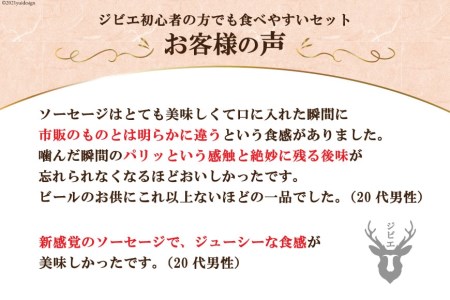 【初心者でも安心】 鹿モモ肉 200g＆鹿ソーセージ 300gのジビエセット [日添 熊本県 五木村 51120302]