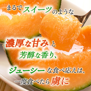 【令和8年産】 【糖度限界突破】ふらの 赤肉メロン Lサイズ（約1.7kg/玉）2玉 北海道 富良野 上富良野町 ふらの 赤肉 メロン フルーツ 果物 デザート メロン赤肉